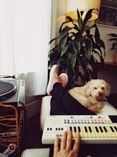A cozy indoor setting features a person lounging with legs propped up on a chair, wearing pink shoes. A fluffy dog rests beside a lush green plant. Nearby, there's a keyboard and a turntable, contributing to a relaxing vibe. A warmly lit lamp adds ambiance from the background.