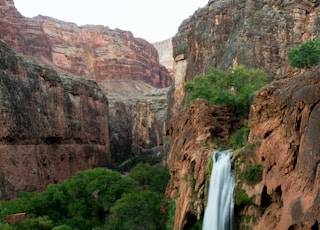 waterfalls near green trees