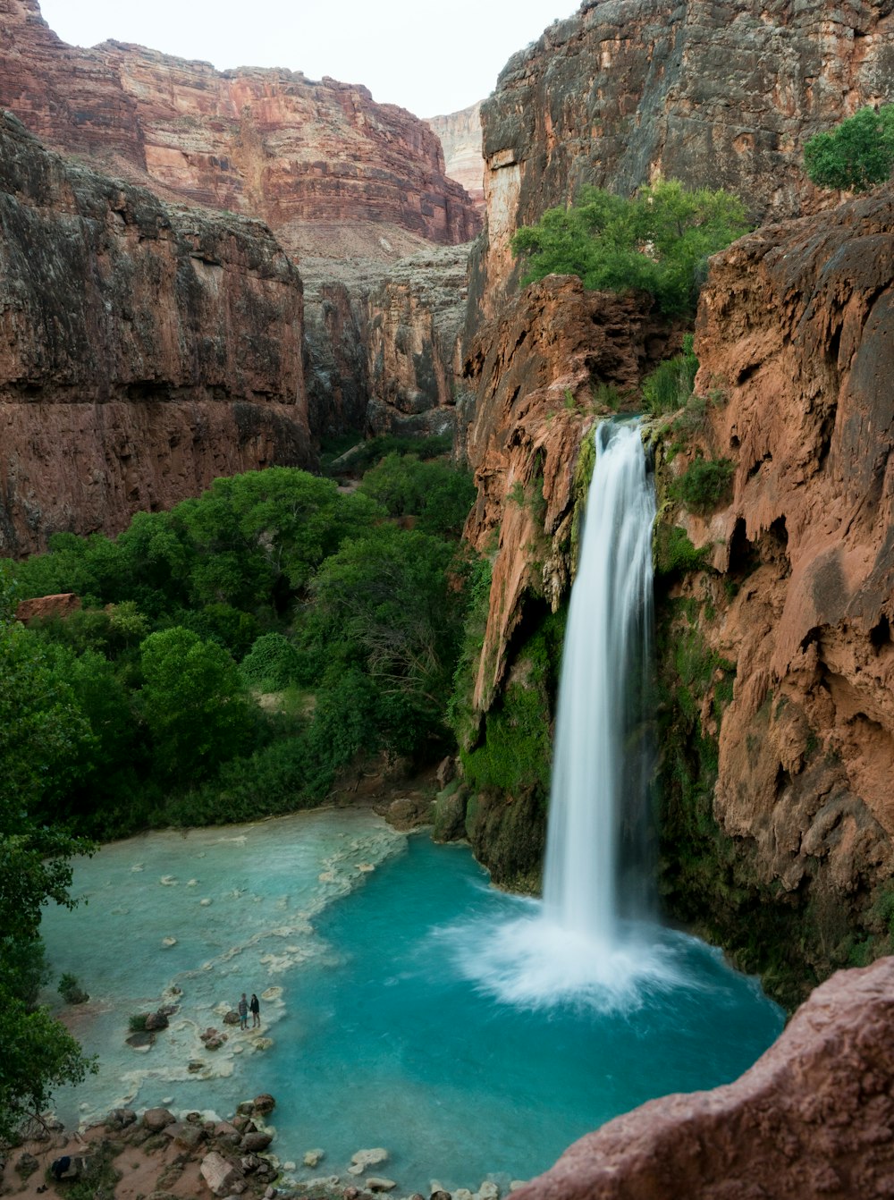 Cascate vicino agli alberi verdi