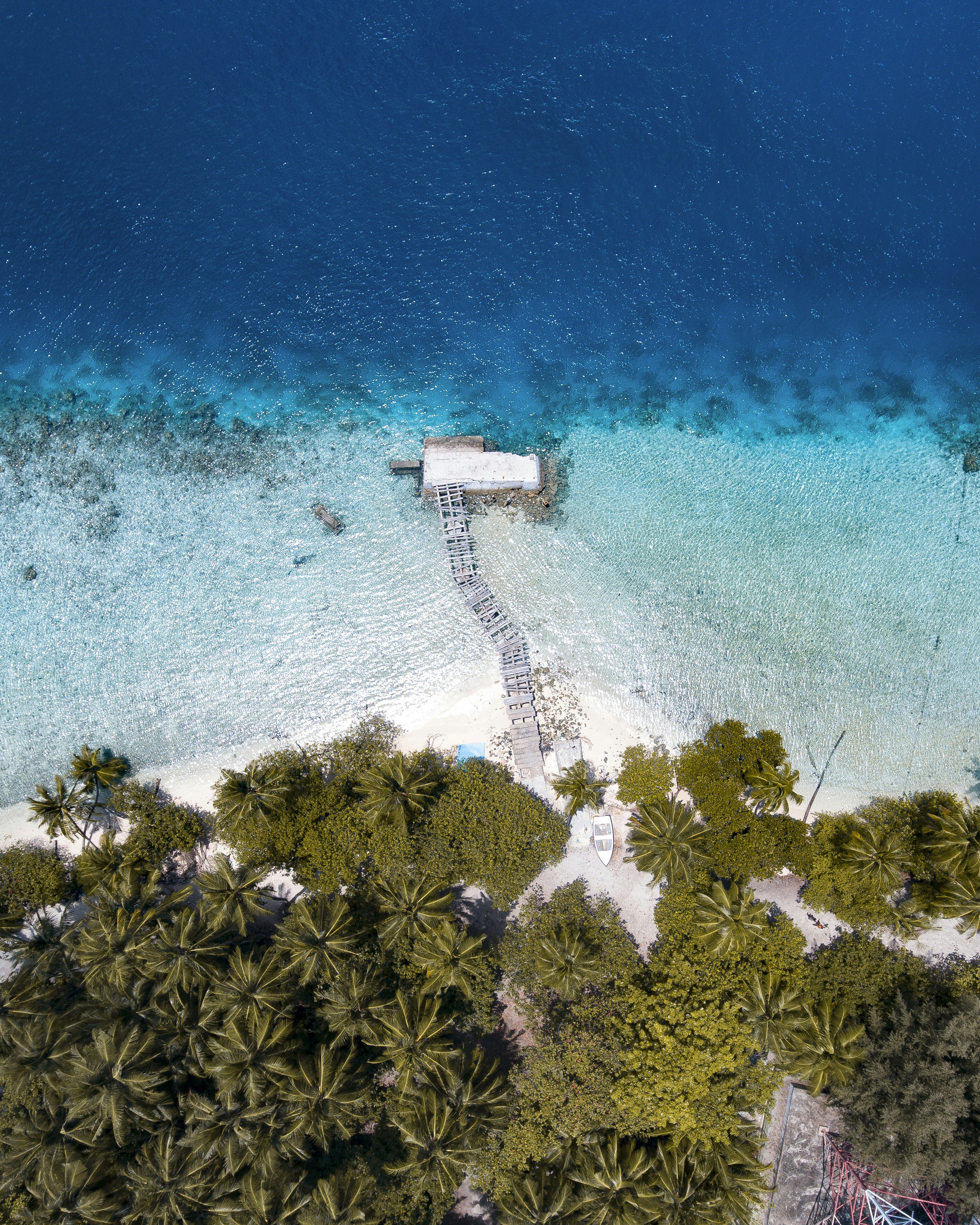 bird's eye view of bridge on sea