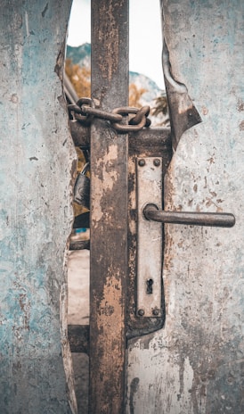 rusted brown steel door level