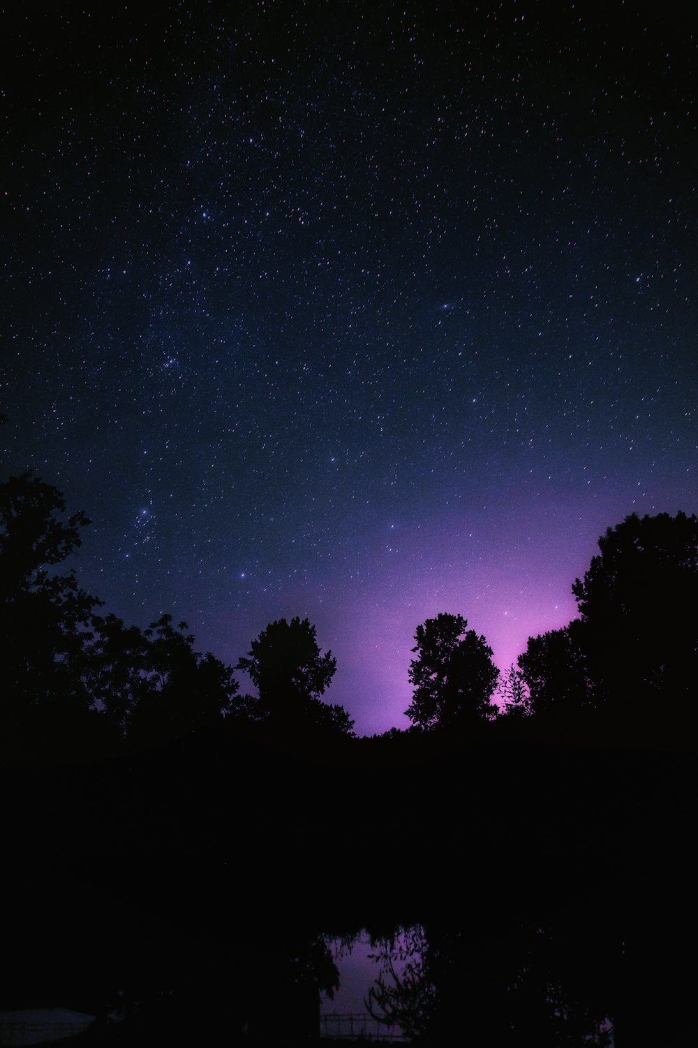 trees near body of water at nighttime