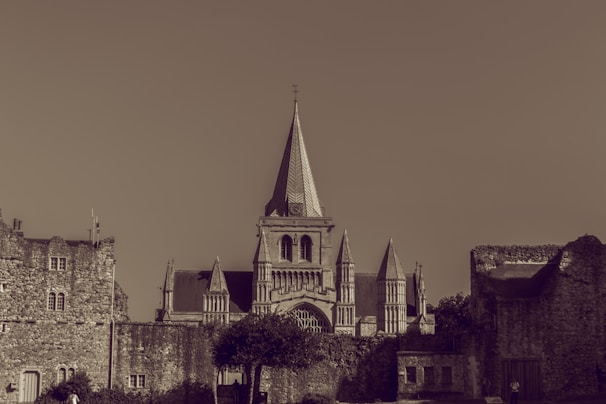 Delicate sepia-toned illustration of the Catedral de León’s elegant facade, softly blending into a warm beige background.