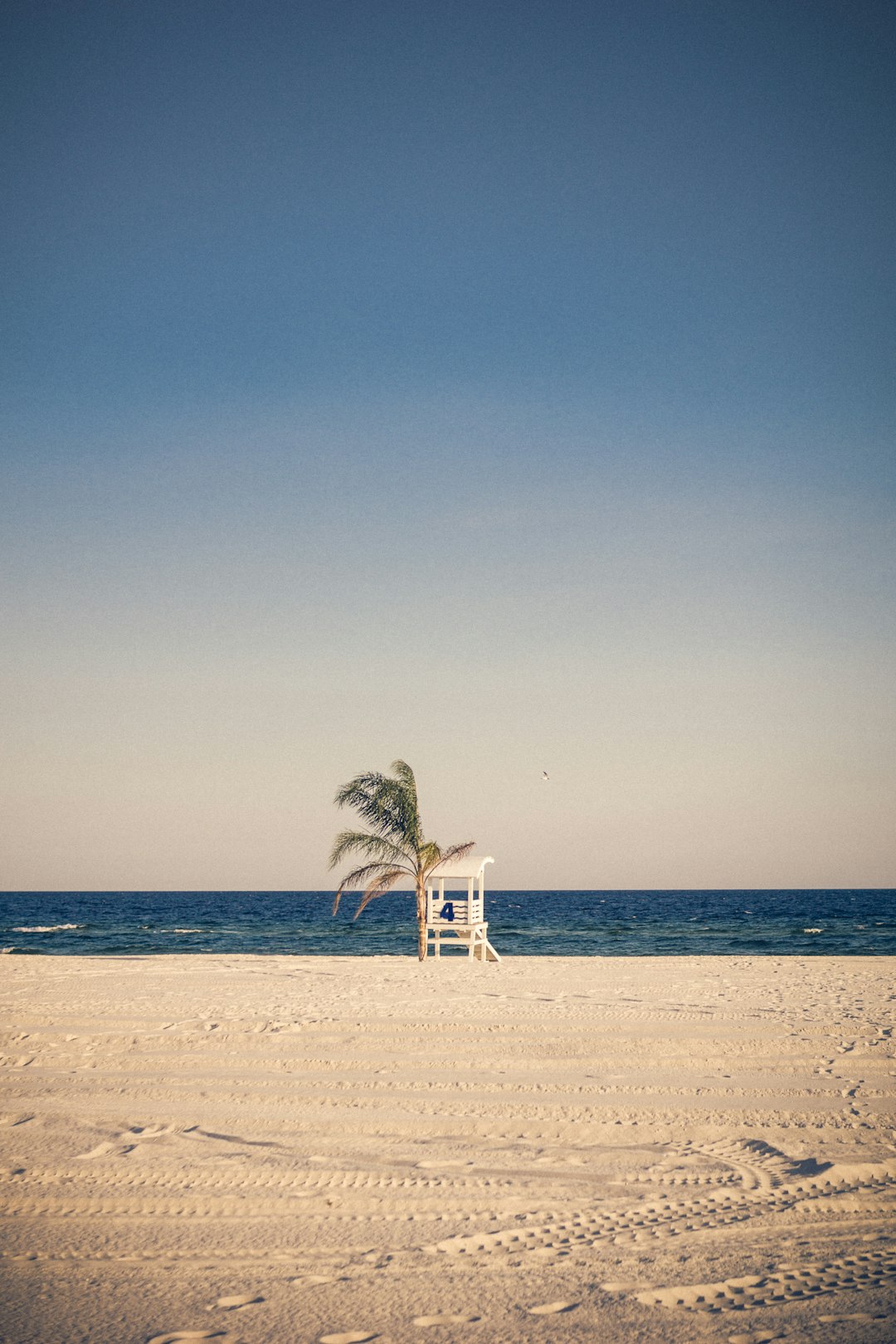 Beach photo spot Gulf Shores Pensacola Beach