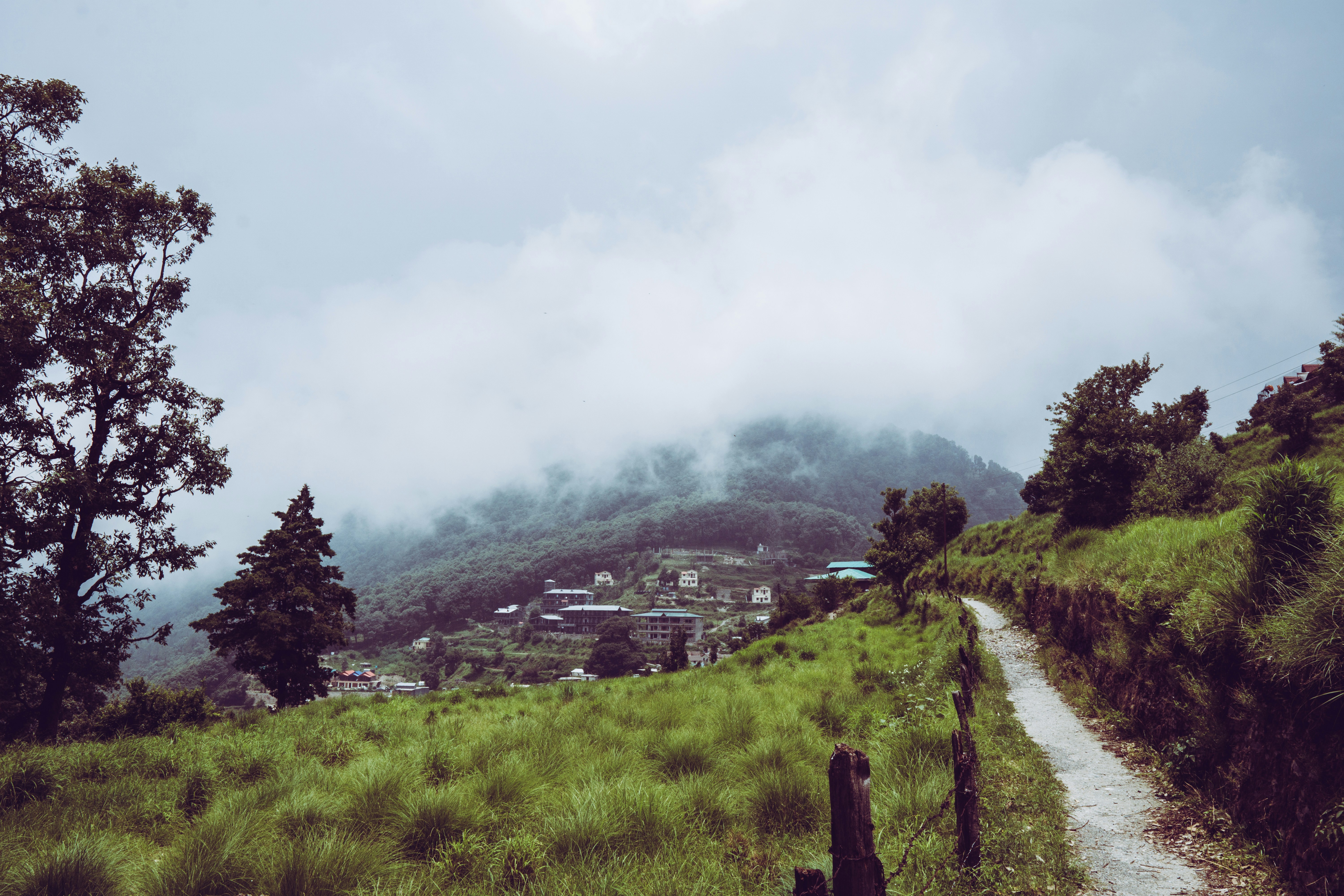 Pangot – a small village near Nainital(India).