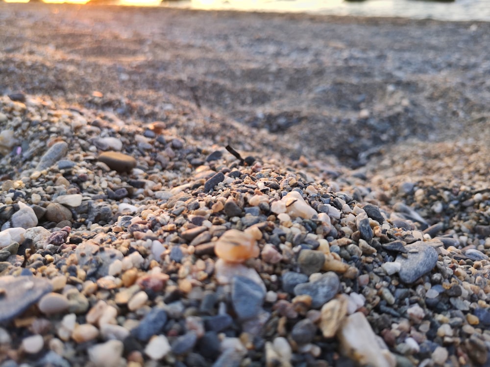 selective focus of beach sand