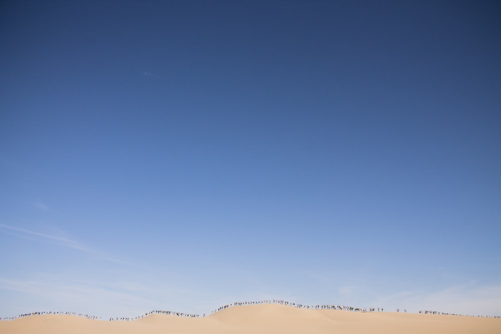 sand dunes