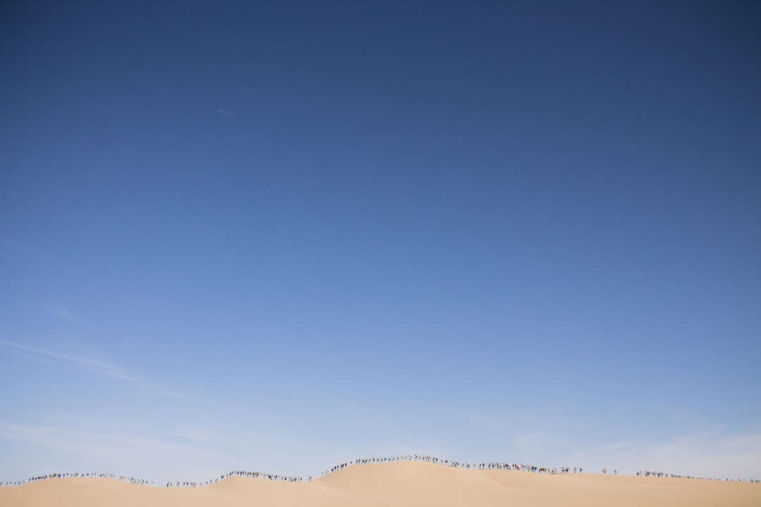 photo of Paracas Desert near Reserva Nacional de Paracas
