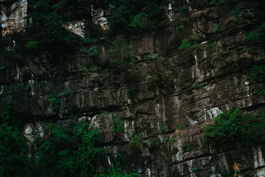 photo of Tràng An Jungle near Hoa Lu ancient capital