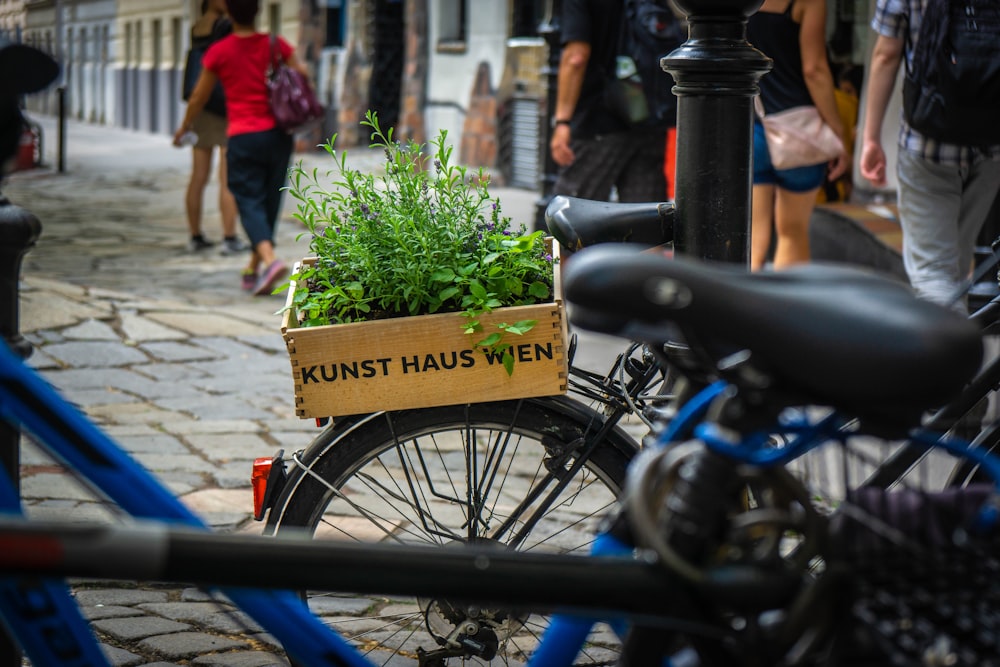 green leafed plants on commuter bicycle