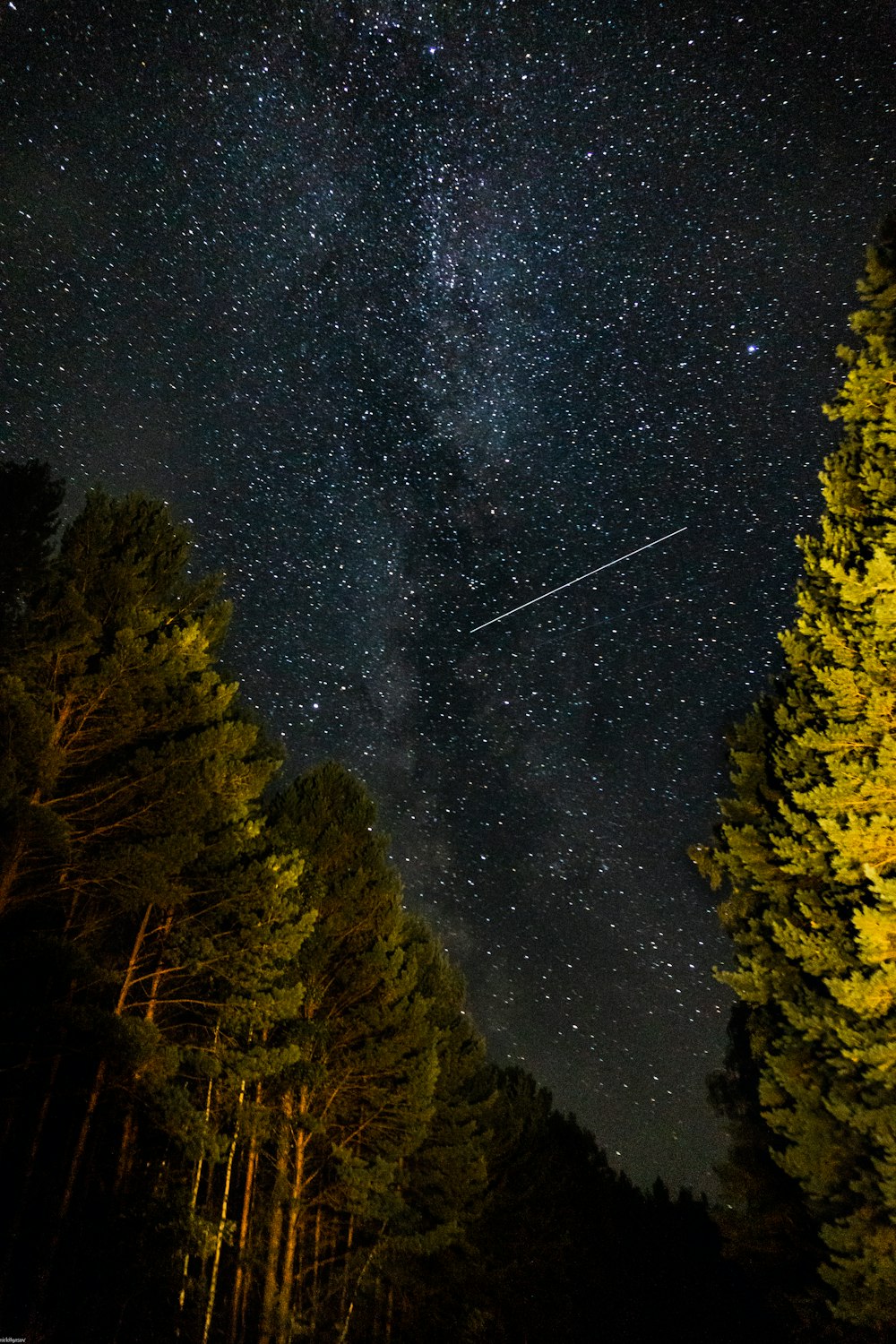 estrela cadente