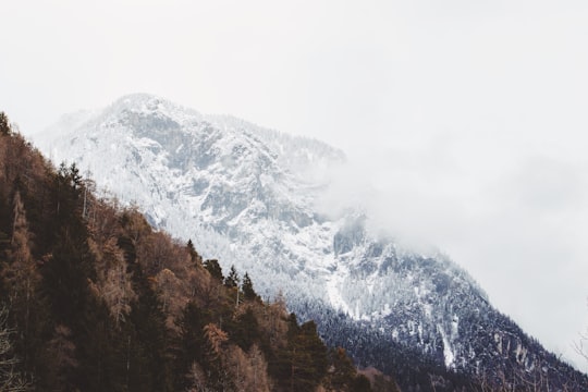 ice-capped mountain near brown trees at daytime in Flims Switzerland