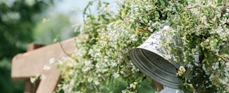 shallow focus photo of white flowers