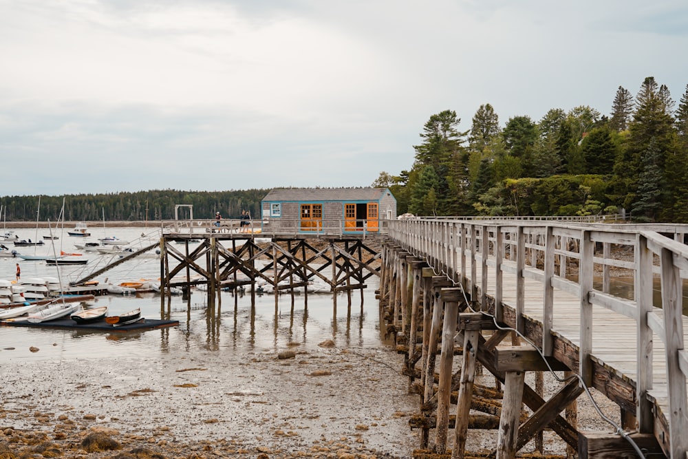 brown and white wooden dock