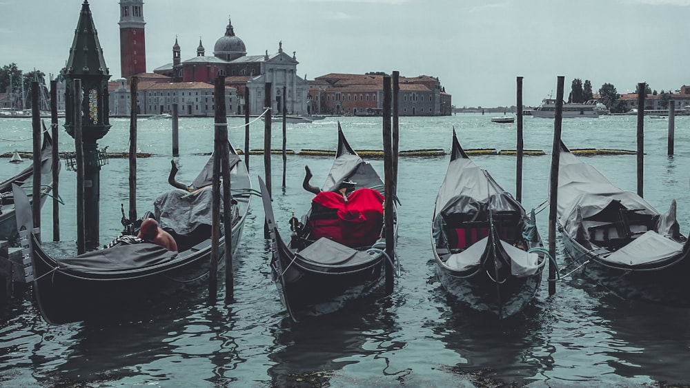 four canoes surrounded by body of water