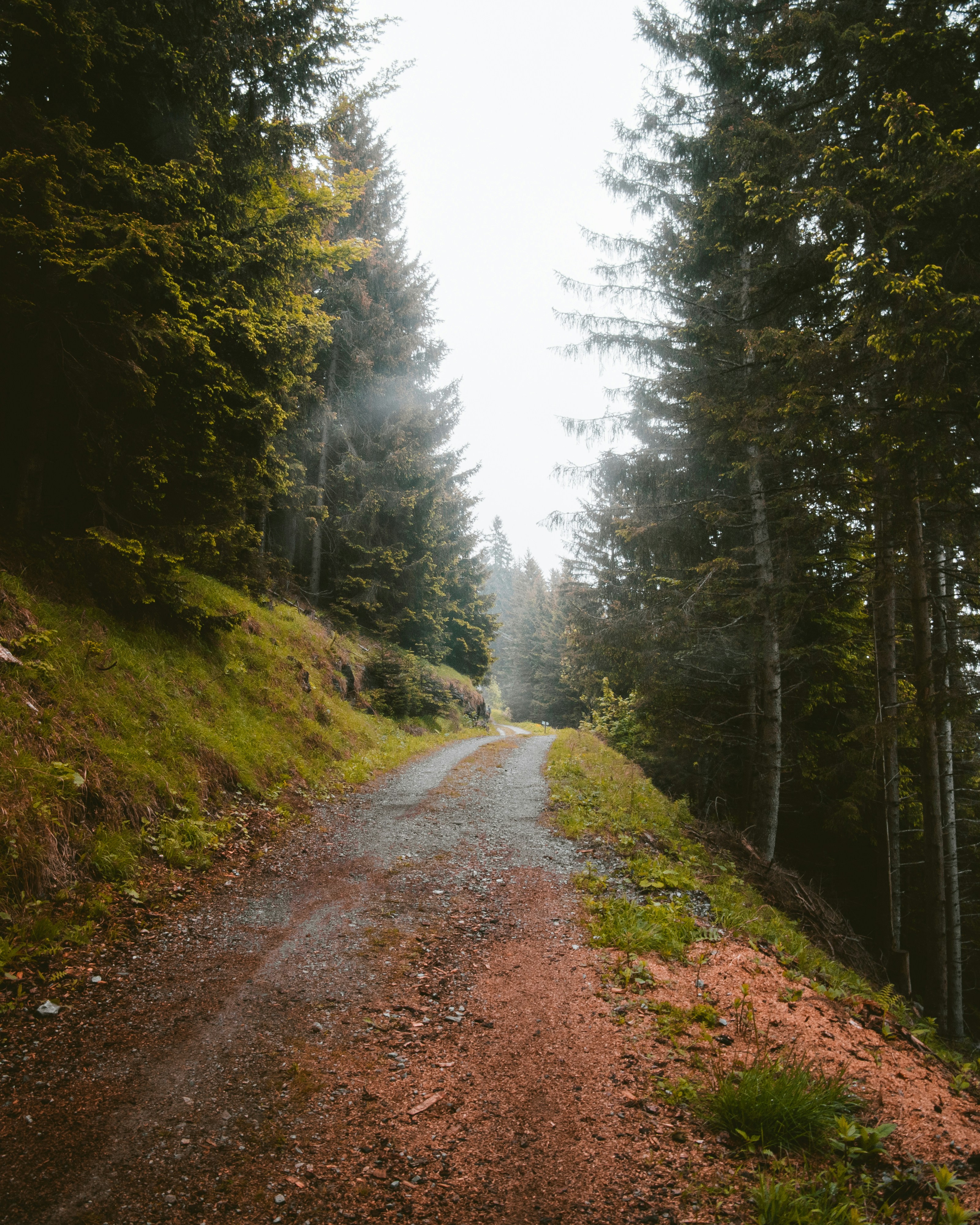 Top 999+ fresh morning images – Amazing Collection fresh morning images Full 4K