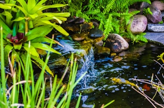 A tranquil backyard waterfall cascading over natural stones into a clear pond.