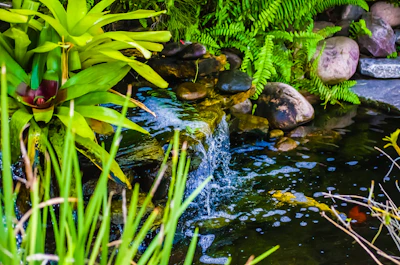 A tranquil aquatic element with floating plants and smooth pebbles creating calm ambiance.
