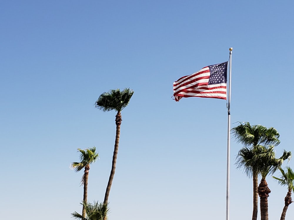 U.S. Flag on pole windy day