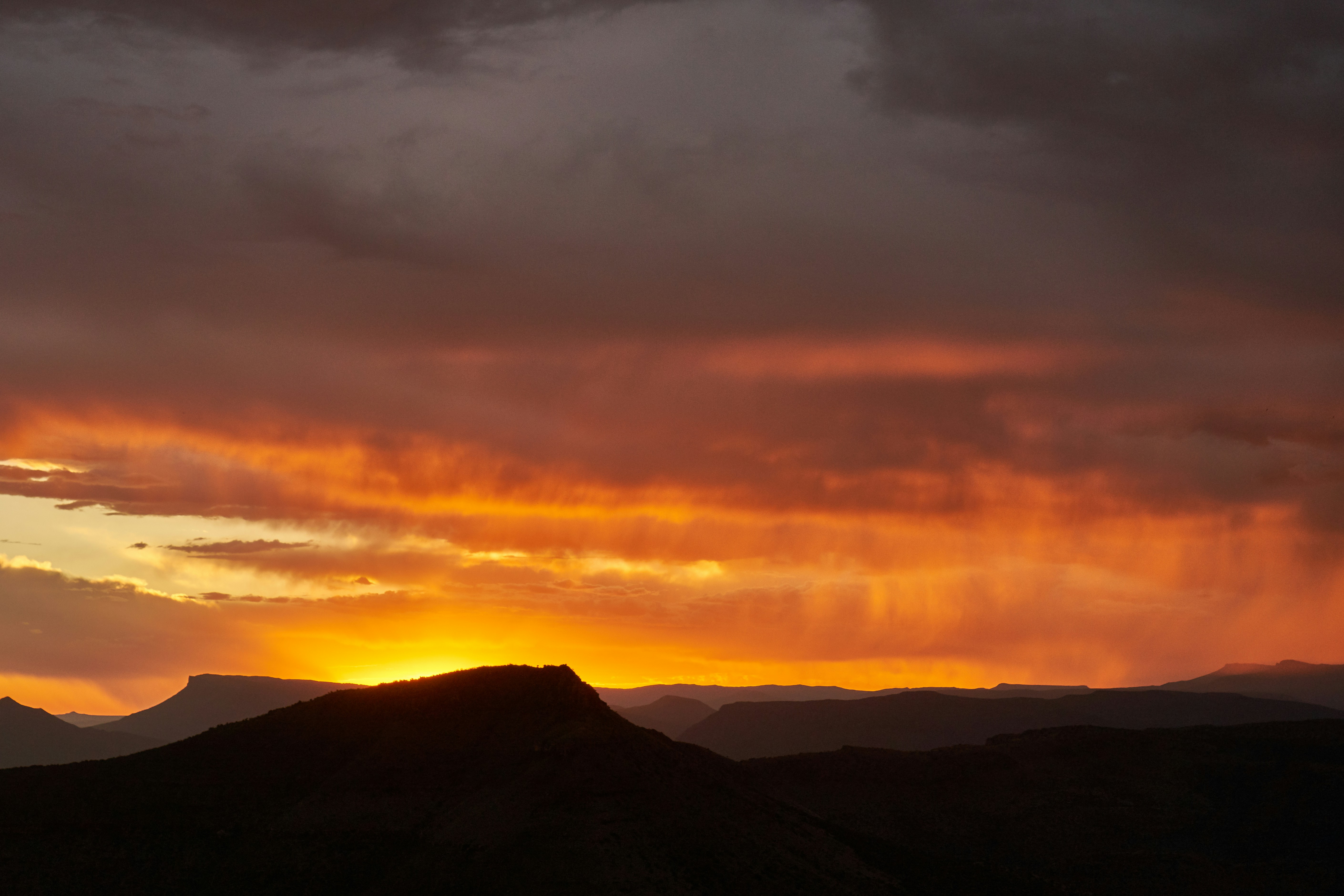 Photo by wolfgang_hasselmann