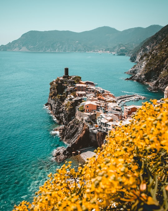 aerial view photography of white houses on an island in Parco Nazionale delle Cinque Terre Italy