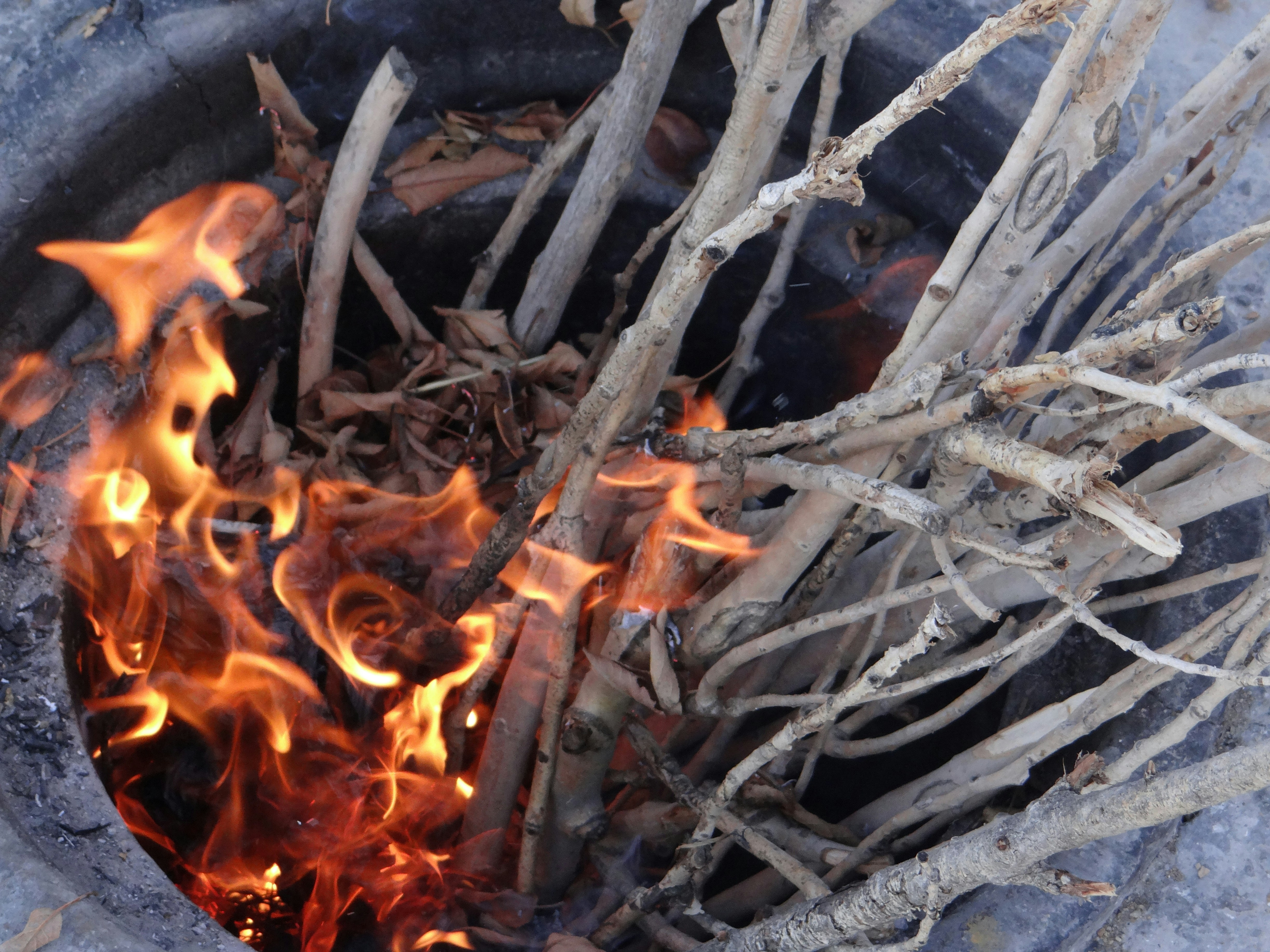 photo 1534448827282 03ea249f697a?ixlib=rb 4.0