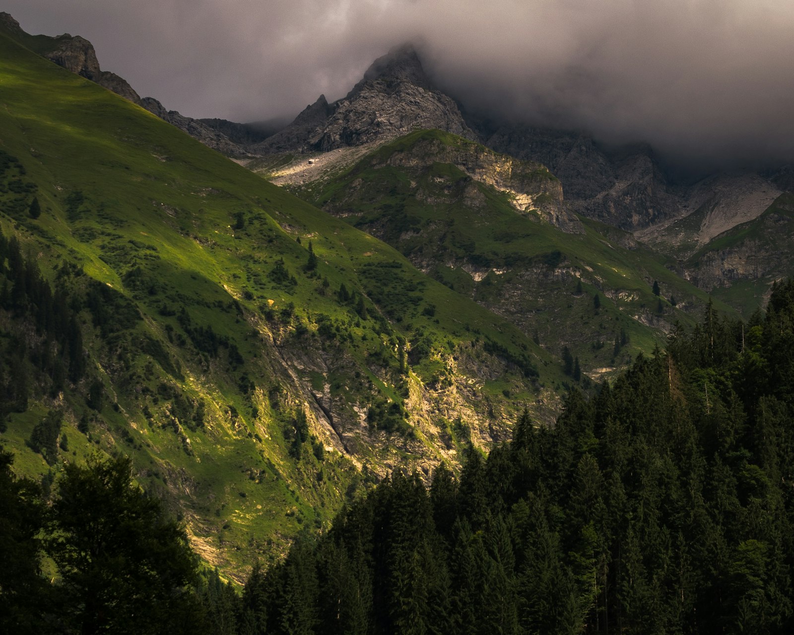 Panasonic Lumix G Vario 14-140mm F3.5-5.6 ASPH Power O.I.S sample photo. Mountain with trees photography