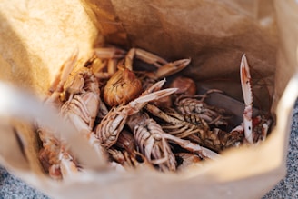 A brown paper bag is filled with crustaceans, likely cooked or prepared for a meal. The bag is open, revealing several crawfish with their distinct claws and segmented bodies. The ambient light highlights the details of their shells and the paper bag's texture.