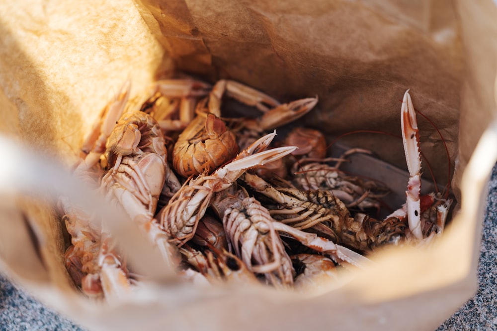 crabs in brown paper bag
