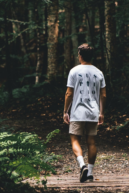 man walking near green leafed trees in Vermont United States