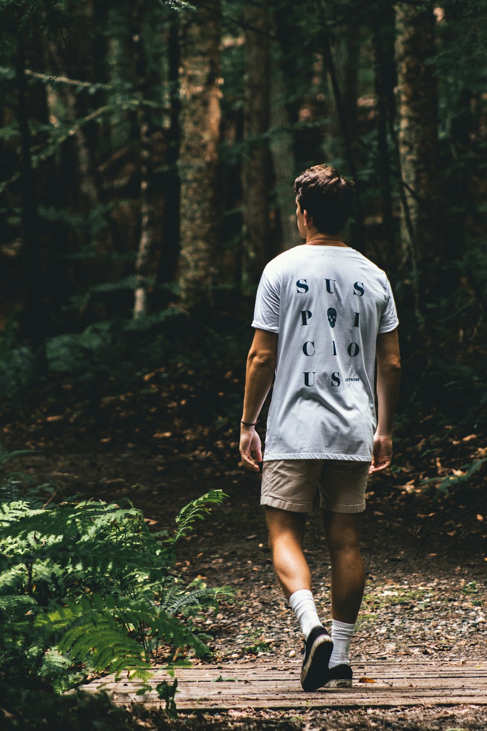 man walking near green leafed trees