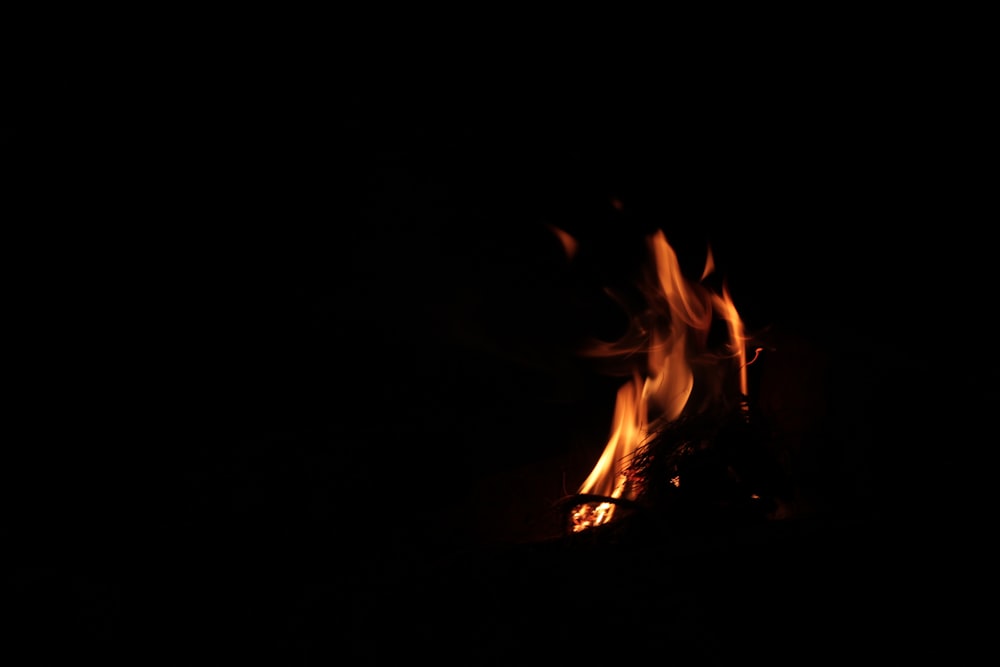 a close up of a fire in the dark