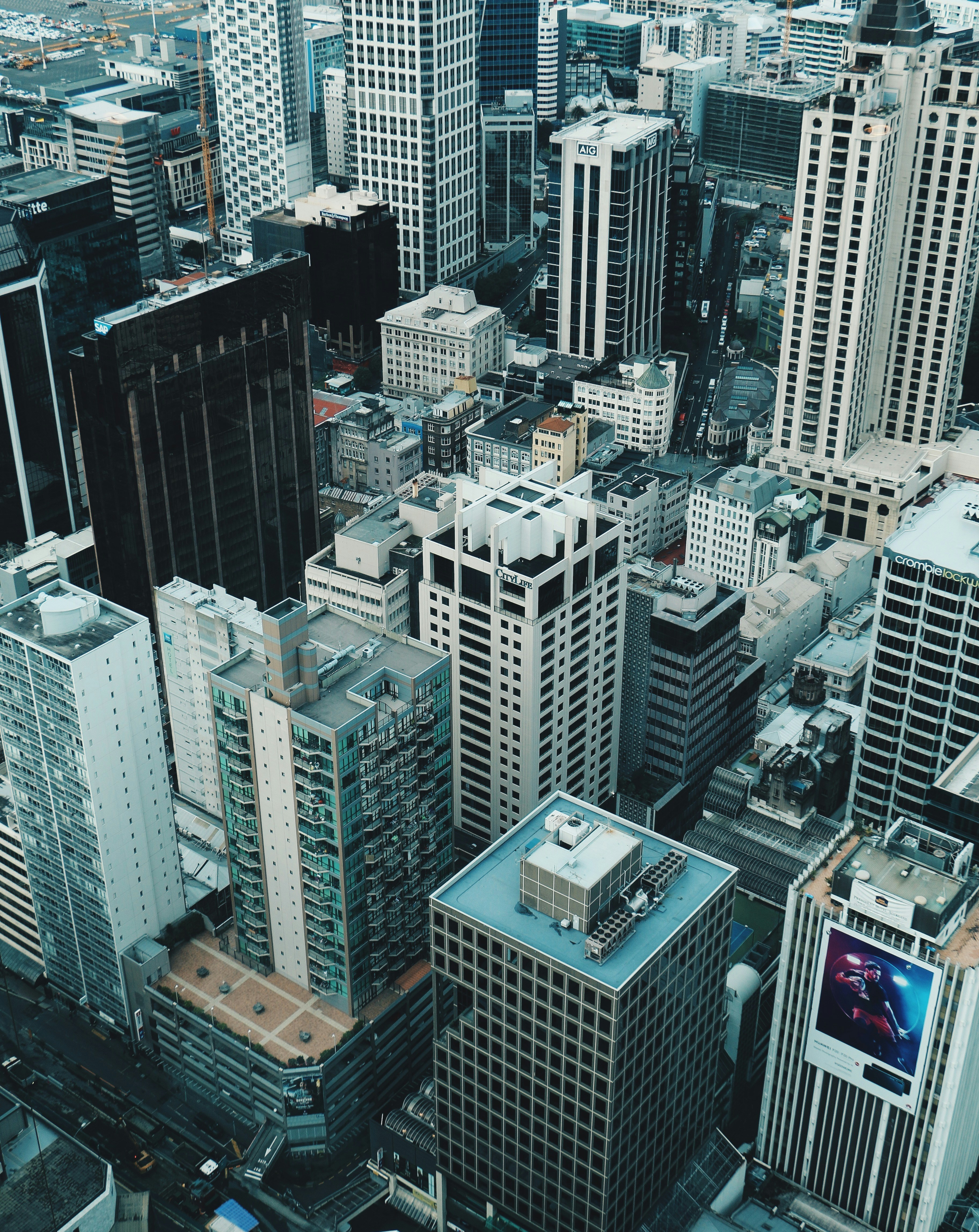 Cosmetic Dentists Auckland
