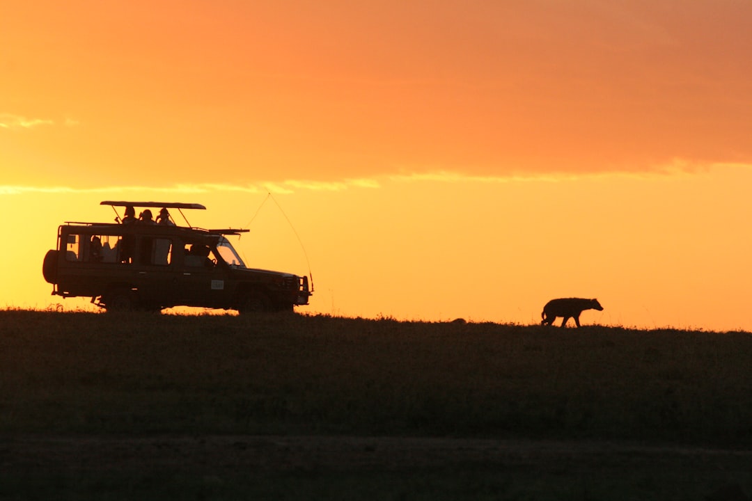 Saddle Up for a Wild Ride: Galloping with Giraffes on a Kenyan Horseback Safari