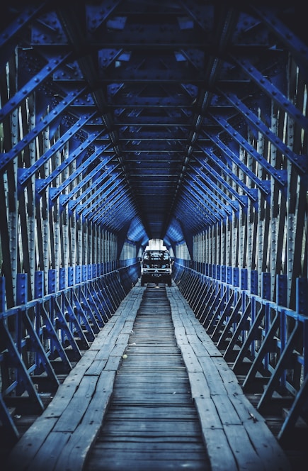 black and gray SUV moving toward on brown wooden pathway