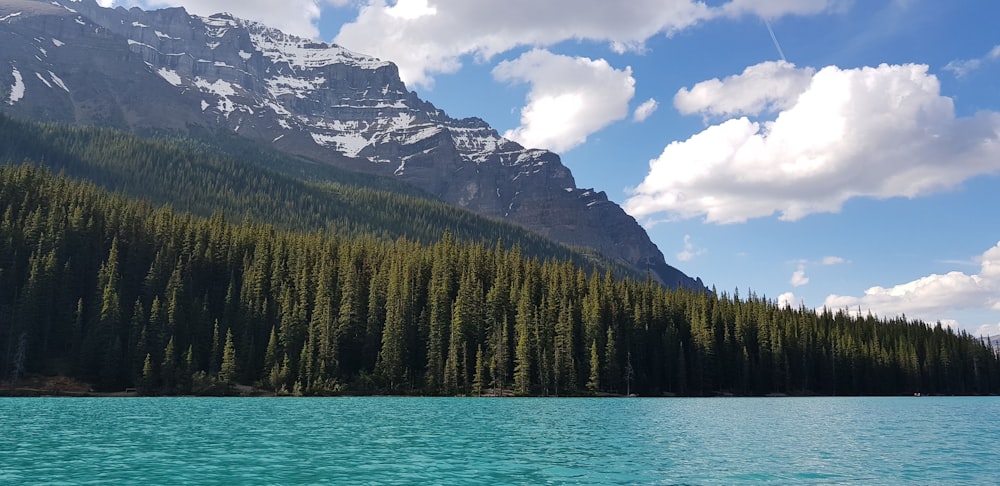 body of water near forest and snow capped mountain