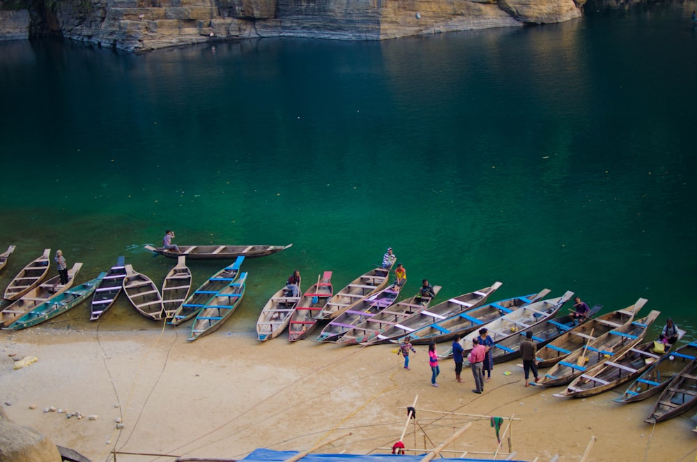 people bear body of water with lots of boats