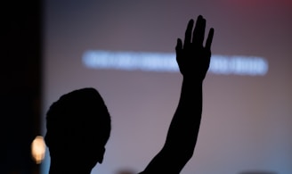 silhouette of person raising hand