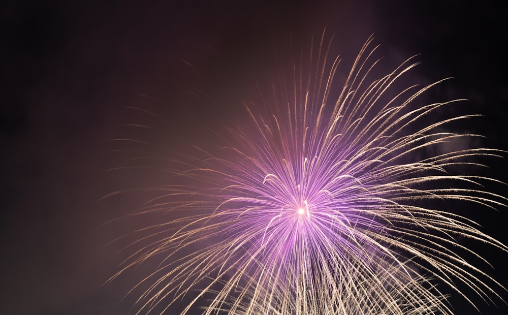 feux d’artifice blancs et roses sur le ciel