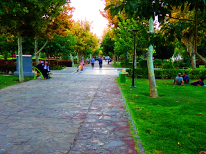 A peaceful park scene with families enjoying a sunny afternoon.