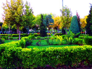 A serene backyard with freshly trimmed hedges and vibrant flower beds under soft natural light.