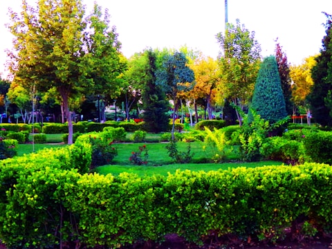 A well-maintained garden with neatly trimmed hedges and a mix of various trees. The vibrant green of the grass and hedges contrasts with the autumnal colors of some trees in the background. Sunlight filters through the leaves, creating a peaceful and serene atmosphere.