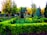 A well-maintained garden with neatly trimmed hedges and a mix of various trees. The vibrant green of the grass and hedges contrasts with the autumnal colors of some trees in the background. Sunlight filters through the leaves, creating a peaceful and serene atmosphere.