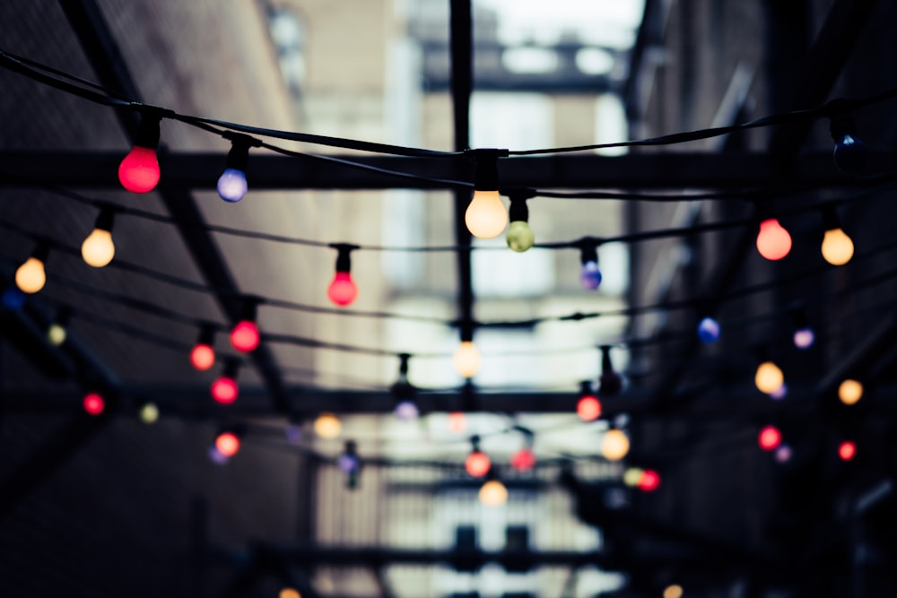 selective focus photo of string lights at daytime