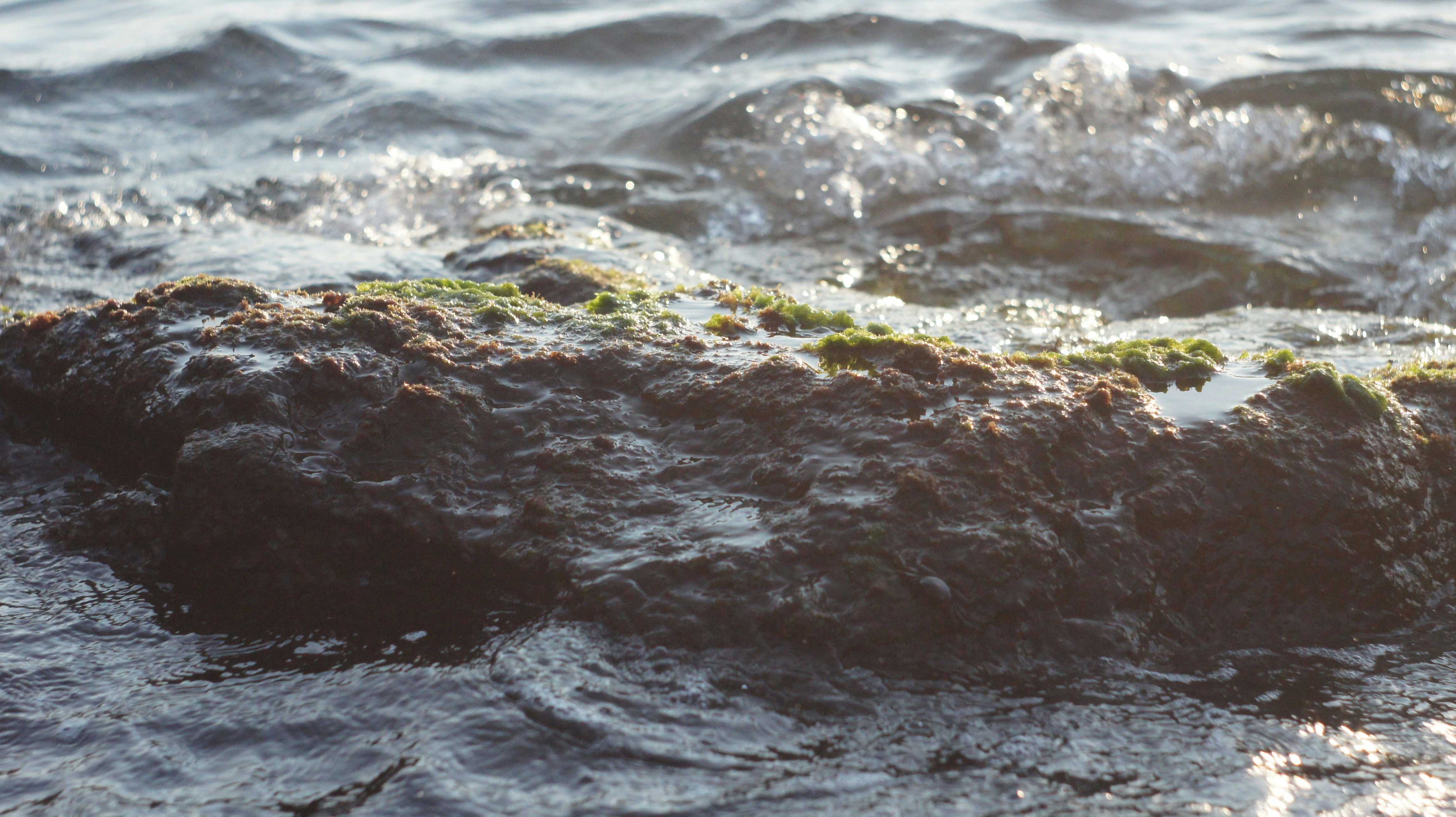 荒岛生存2，荒岛生存21天原版