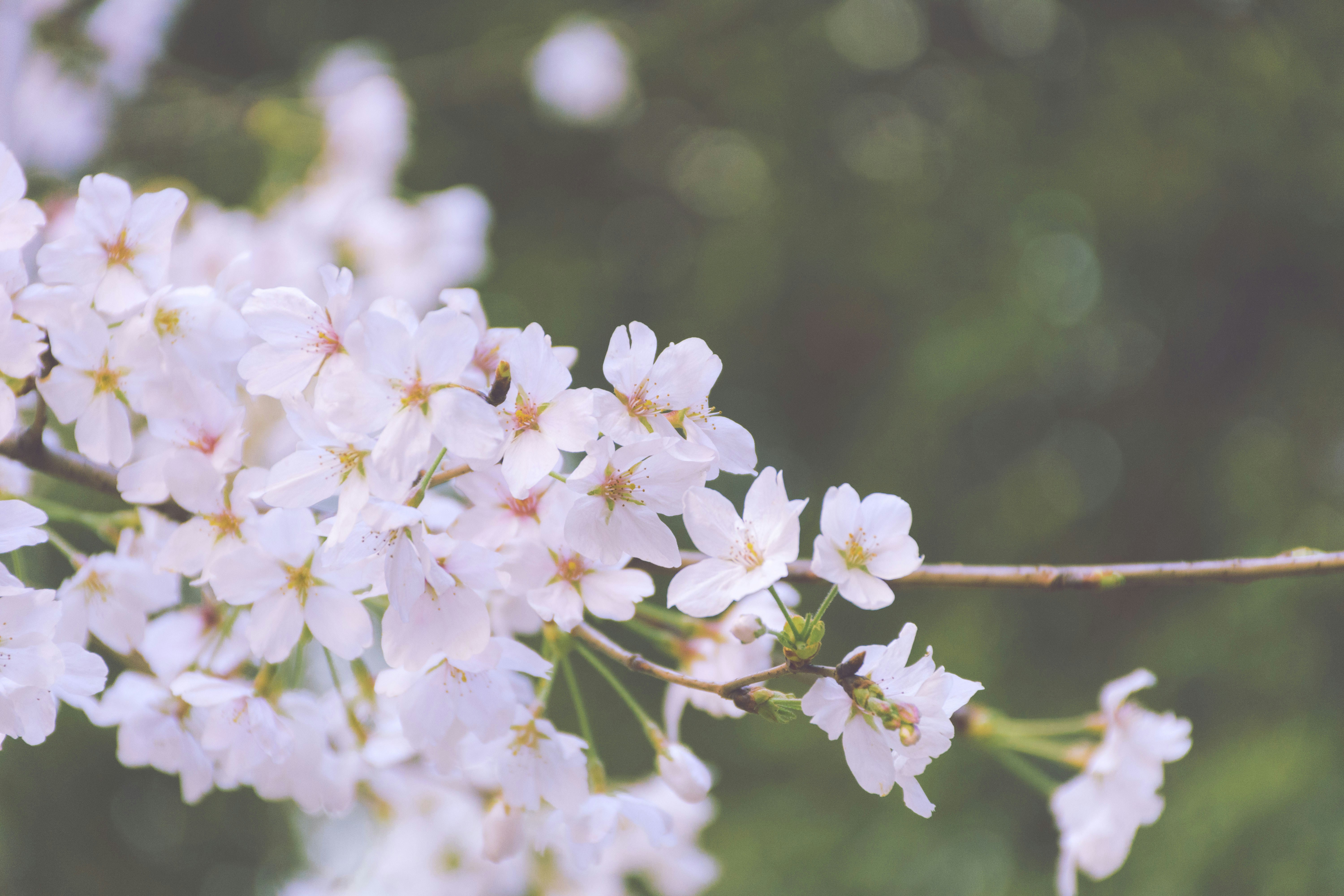 Photo by usaysitisaywhere