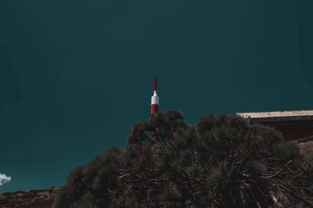 white and red lighthouse