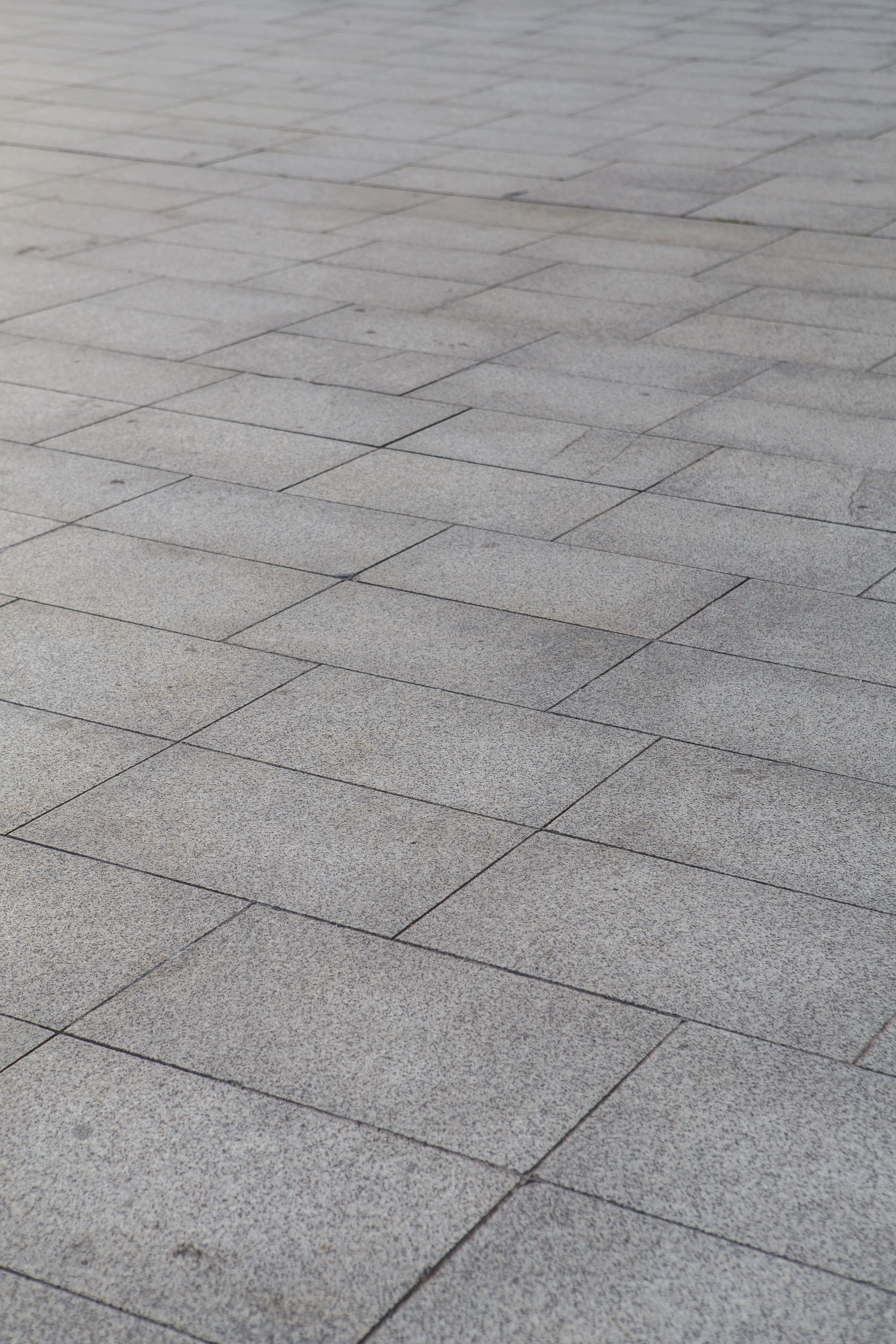 Grey porcelain floor tiles laid in a grid