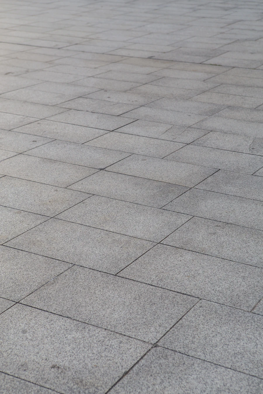 Paver stone patio and walkway