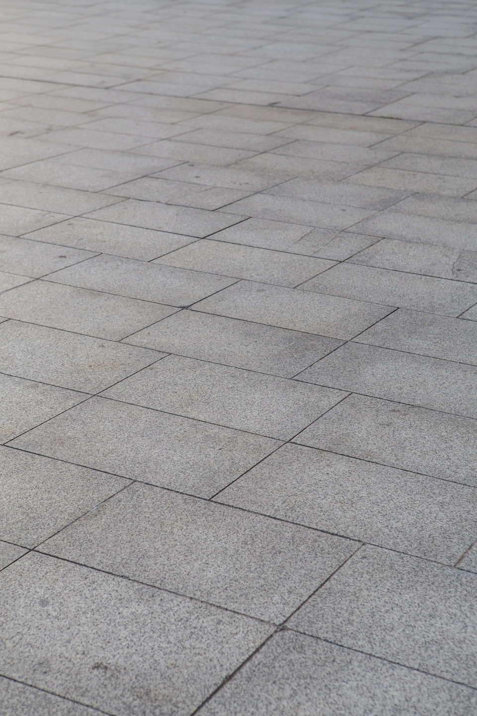 Newly paved sidewalk